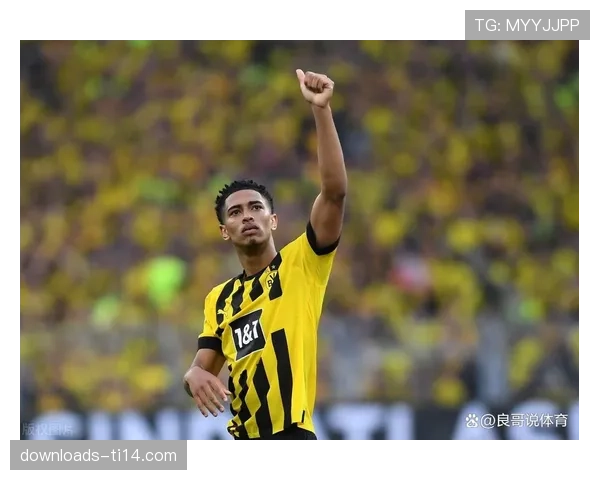 德国警方通报:成功挫败一起针对德甲比赛的网络攻击计划 德国警方通报:成功挫败一起针对德甲比赛的网络攻击计划